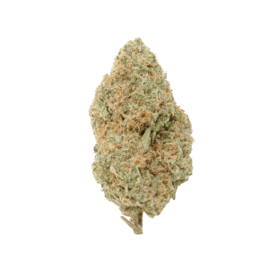 jack herer