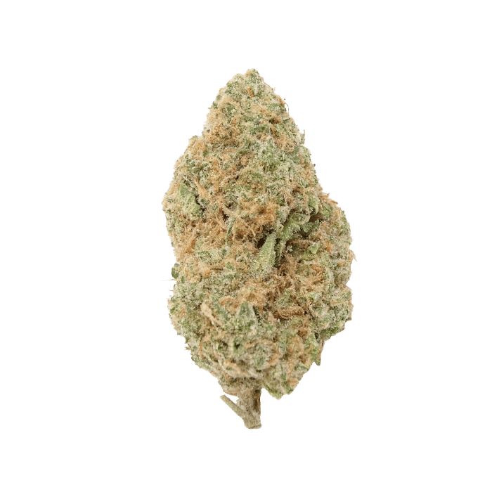 jack herer