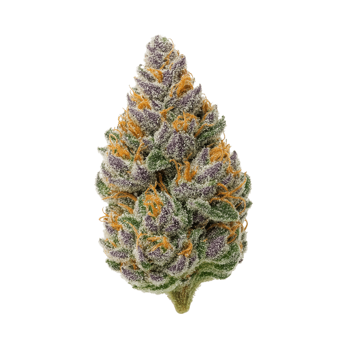 Gelato #41 (Bacio Gelato)