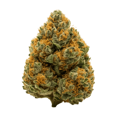 Hindu Kush Wiet