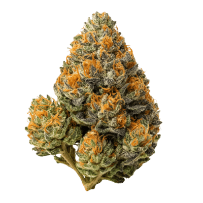 Mango Kush