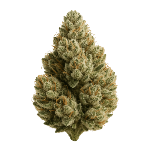 Skywalker OG