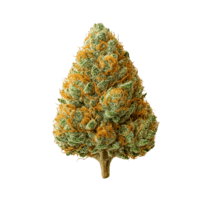 pure haze