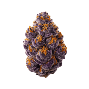 Blueberry Muffin