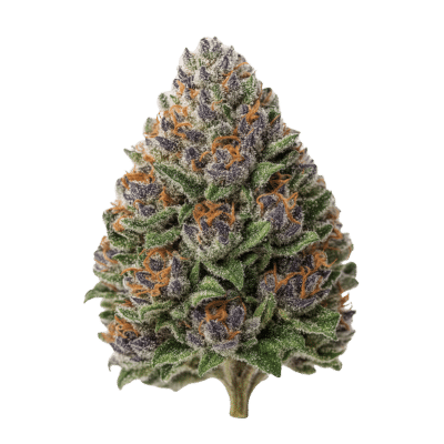 Forbidden Fruit