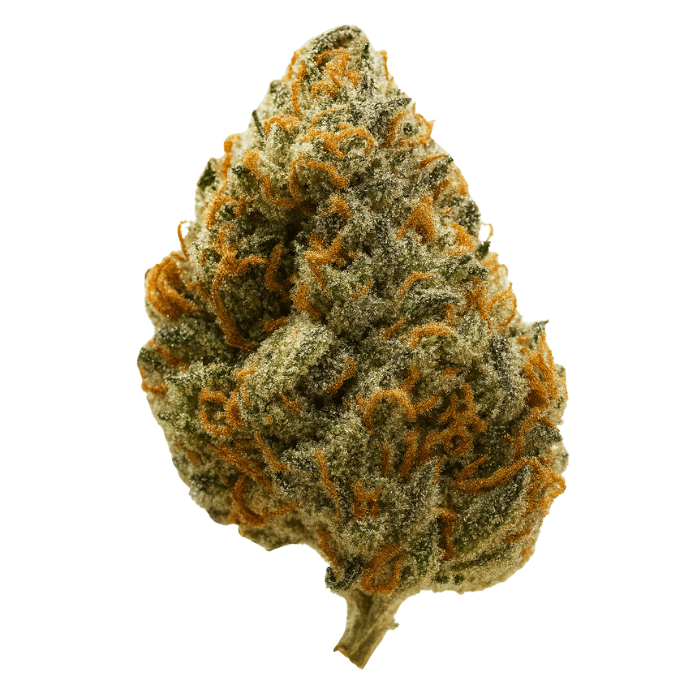 Gelato Sundae