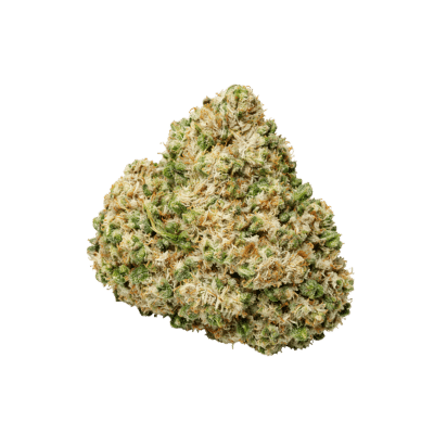 Rollex OG Kush
