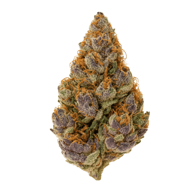 Tangerine Dream