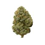 ayahuasca purple