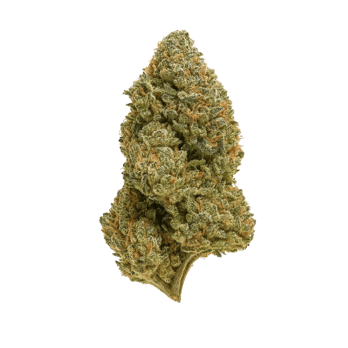chem 4