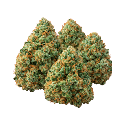 Kilimanjaro