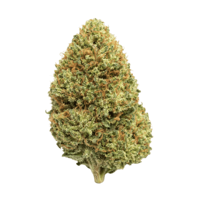 South Indian Indica