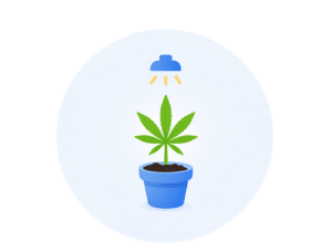 Wietforum België - Online Cannabis Community 1 wiet kweken